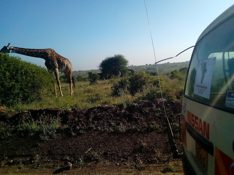 guests doing a Mombasa City Tour