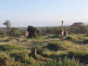 10 days Kenya itinerary