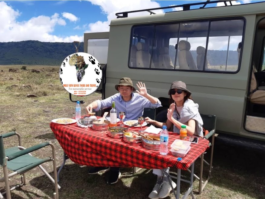 guests enjoying a picnic lunch inside masai mara