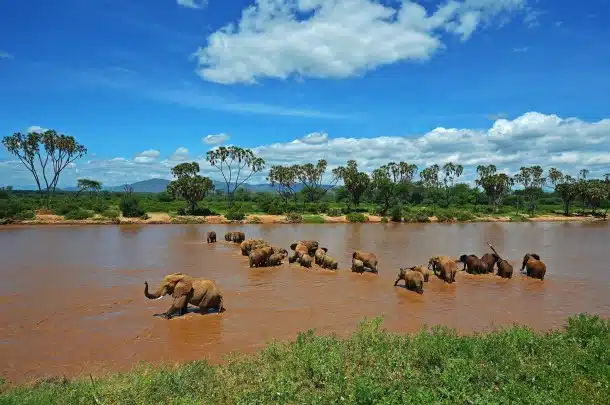 3 Day Samburu Game Reserve Safari