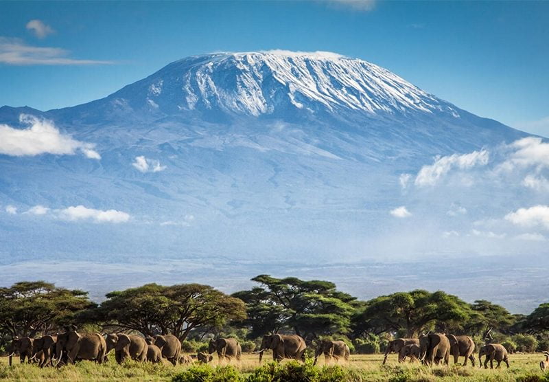 Mt Kilimanjaro view