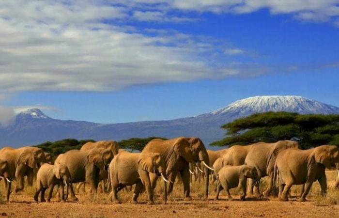 amboseli Tour packages