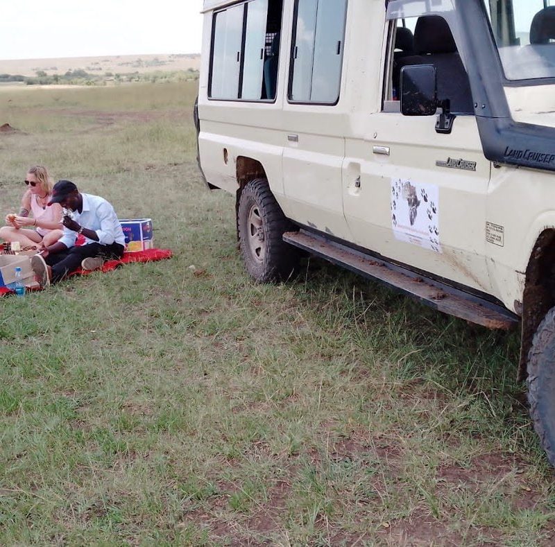 Masai Mara safari jeep during game drive