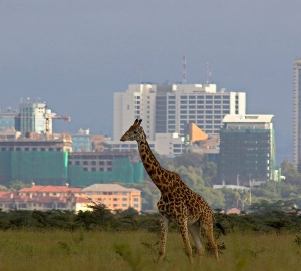 Travel agency in Nairobi