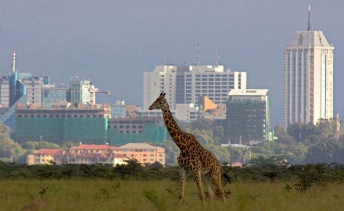 Travel agency in Nairobi