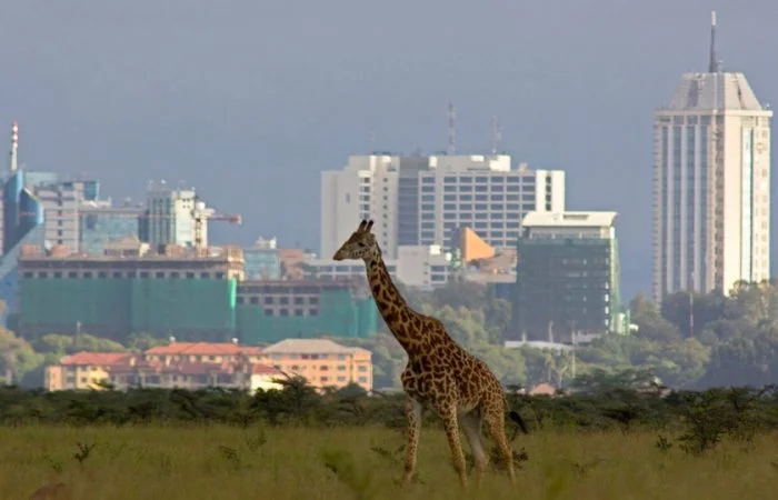 Travel agency in Nairobi