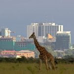 Safari tour Nairobi National Park