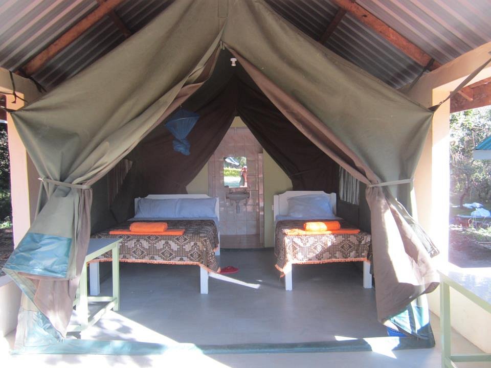 Budget safari camp in Masai Mara