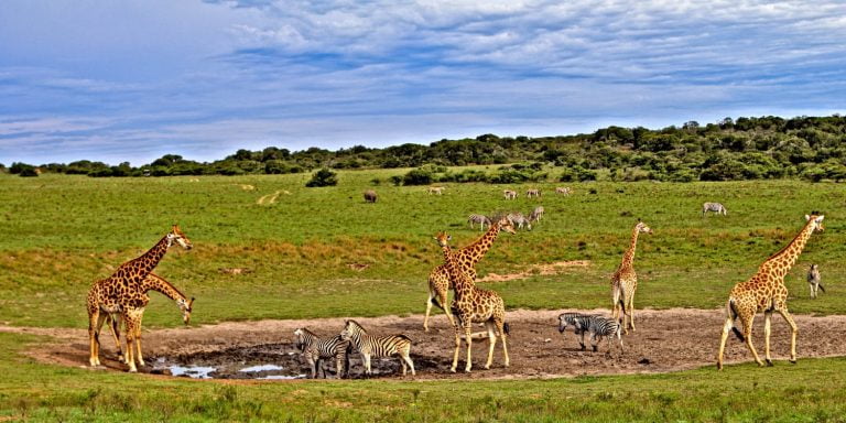 Tsavo holiday tours