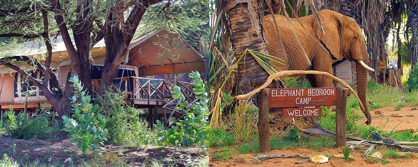samburu elephant camp