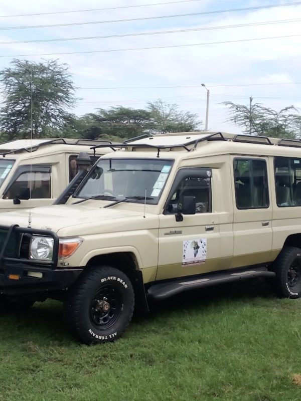 Ol Pejeta Wildlife Sanctuary Tour
