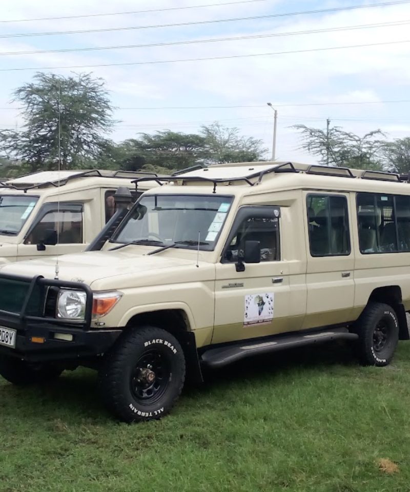 Ol Pejeta Wildlife Sanctuary Tour