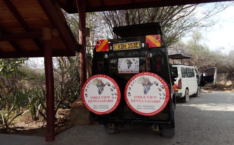 A 4x4 safari fleet